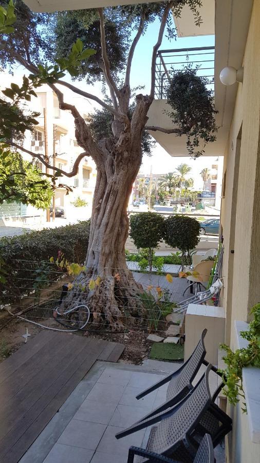 Kerynia Apartments Paphos Exteriér fotografie